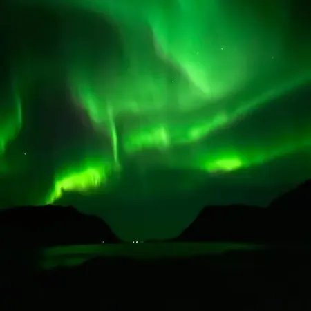 Luksus Hytte Med Jacuzzi/badstue Kleppstad